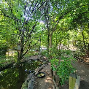 Beardsley 7/22 - Wetlands aviary