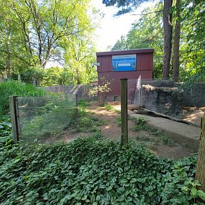 Beardsley 7/22 - North American river otters