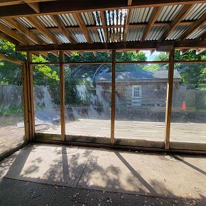 Beardsley 7/22 - American alligators