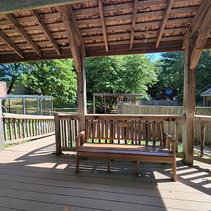 Beardsley 7/22 - Grey fox, American alligator, etc from bald eagle viewing