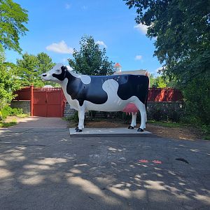 Beardsley 7/22 - Big Cow Time Capsule