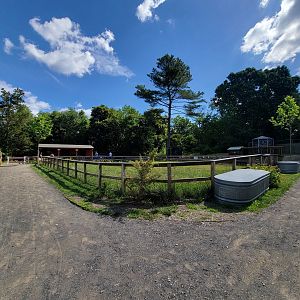 Beardsley 7/22 - Farmyard, empty livestock area
