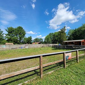 Beardsley 7/22 - Farmyard, livestock yard
