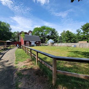 Beardsley 7/22 - Farmyard