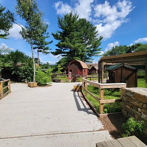 Beardsley 7/22 - Farmyard