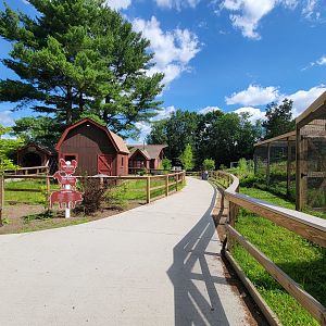 Beardsley 7/22 - Farmyard