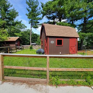 Beardsley 7/22 - Farmyard, small empty yard