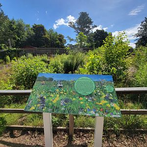 Beardsley 7/22 - Farmyard, meadow
