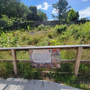 Beardsley 7/22 - Farmyard, stone walls