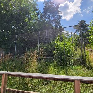 Beardsley 7/22 - Farmyard, unsigned, empty? bird cage