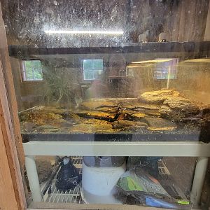 Beardsley 7/22 - Farmyard, spotted turtle breeding program