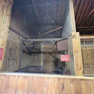 Beardsley 7/22 - Farmyard, barn owl