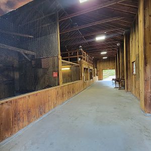 Beardsley 7/22 - Farmyard, inside barn
