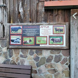 Beardsley 7/22 - Farmyard, cattle breeds