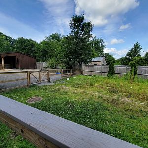 Beardsley 7/22 - Farmyard, cattle yard