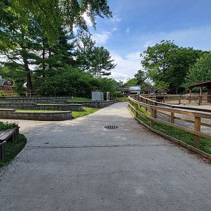 Beardsley 7/22 - Farmyard, cow area