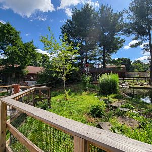 Beardsley 7/22 - Farmyard