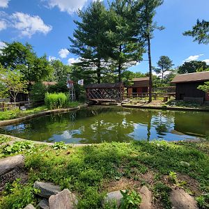 Beardsley 7/22 - Farmyard pond