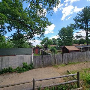 Beardsley 7/22 - Back of farmyard