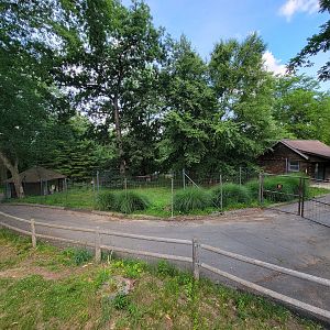 Beardsley 7/22 - Maned wolf yard