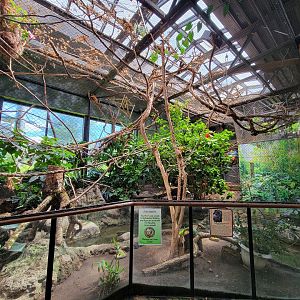 Beardsley 7/22 - Rainforest Building, sloth and tamarin area