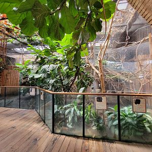 Beardsley 7/22 - Rainforest Building, open room exhibit