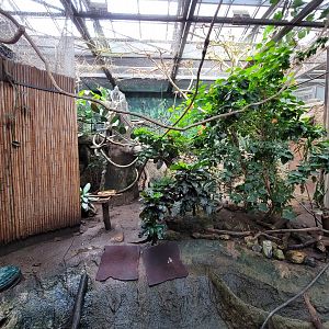 Beardsley 7/22 - Rainforest Building, open room exhibit