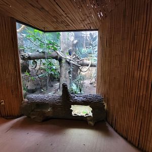 Beardsley 7/22 - Rainforest Building, viewing window into back of open air exhibit