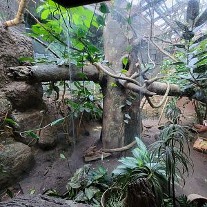 Beardsley 7/22 - Rainforest Building, viewing window into back of open air exhibit