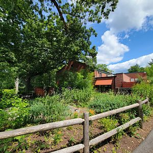 Beardsley 7/22 - Rainforest Building