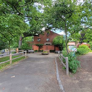 Beardsley 7/22 - Rainforest Building plaza