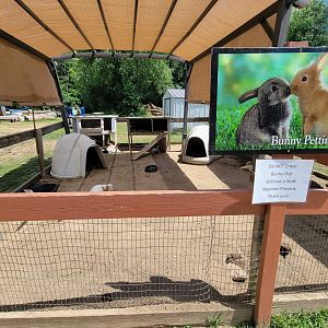 Animal Adventures MA 7/22 - Rabbits