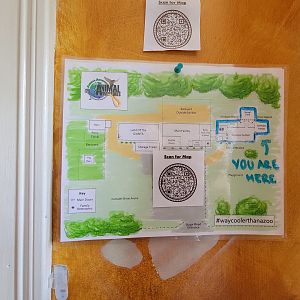 Animal Adventures MA 7/22 - Map