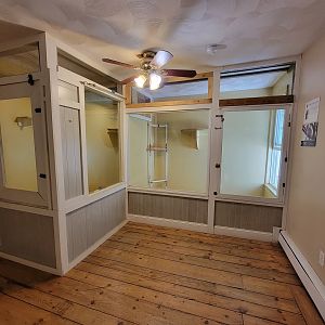 Animal Adventures MA 7/22 - Green monkey (signed as vervet)