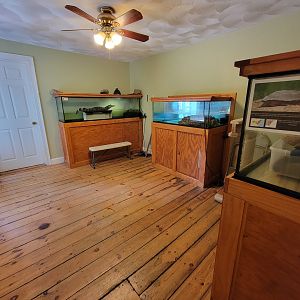 Animal Adventures MA 7/22 - Some herps