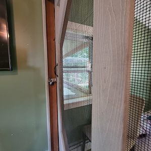 Animal Adventures MA 7/22 - Open window so serval can get outside