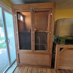 Animal Adventures MA 7/22 - Chinchilla