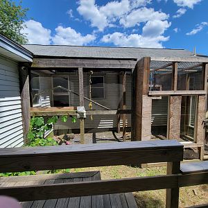 Animal Adventures MA 7/22 - Outdoor area for green monkey