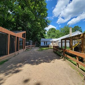 Animal Adventures MA 7/22 - Bobcat, foxes, door to serval/fox room