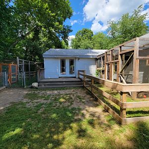 Animal Adventures MA 7/22 - Serval, green monkey, door to serval/fox room