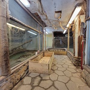 Animal Adventures MA 7/22 - Giant reptiles building