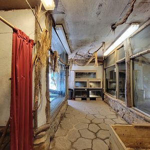 Animal Adventures MA 7/22 - Giant reptiles building