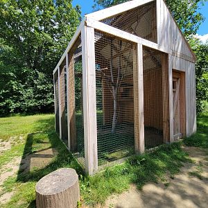 Animal Adventures MA 7/22 - Unsigned, empty bird habitat