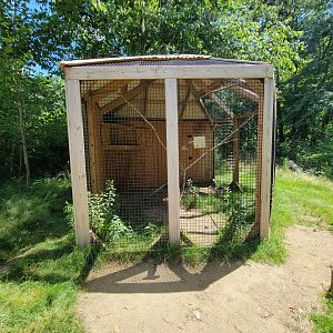 Animal Adventures MA 7/22 - Unsigned and empty bird cage