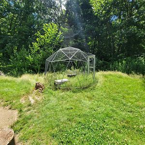 Animal Adventures MA 7/22 - Unsigned and empty