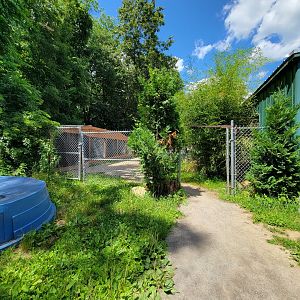 Animal Adventures MA 7/22 - Walking back to lynx area