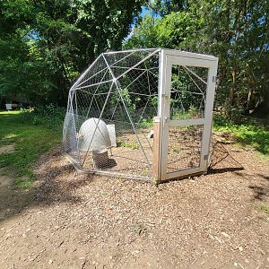 Animal Adventures MA 7/22 - Unsigned and empty