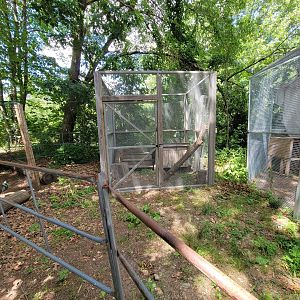 Animal Adventures MA 7/22 - Unsigned and empty