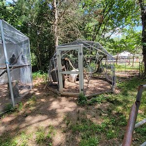 Animal Adventures MA 7/22 - Unsigned and empty, maybe primate?