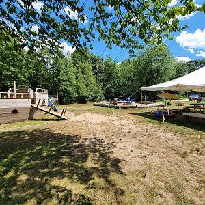 Animal Adventures MA 7/22 - Front yard